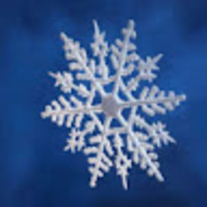 Meet your Posher, Cathy